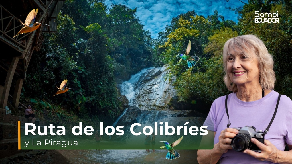 RUTA DE LOS COLIBRÍES Y LA PIRAGUA 18/10/2025
