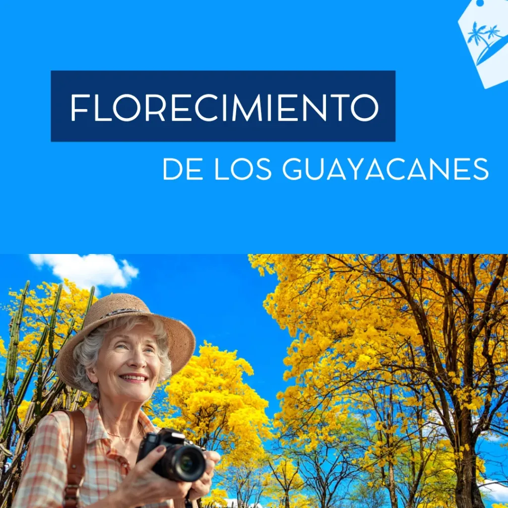FLORECIMIENTO DE LOS GUAYACANES 07/01/2026